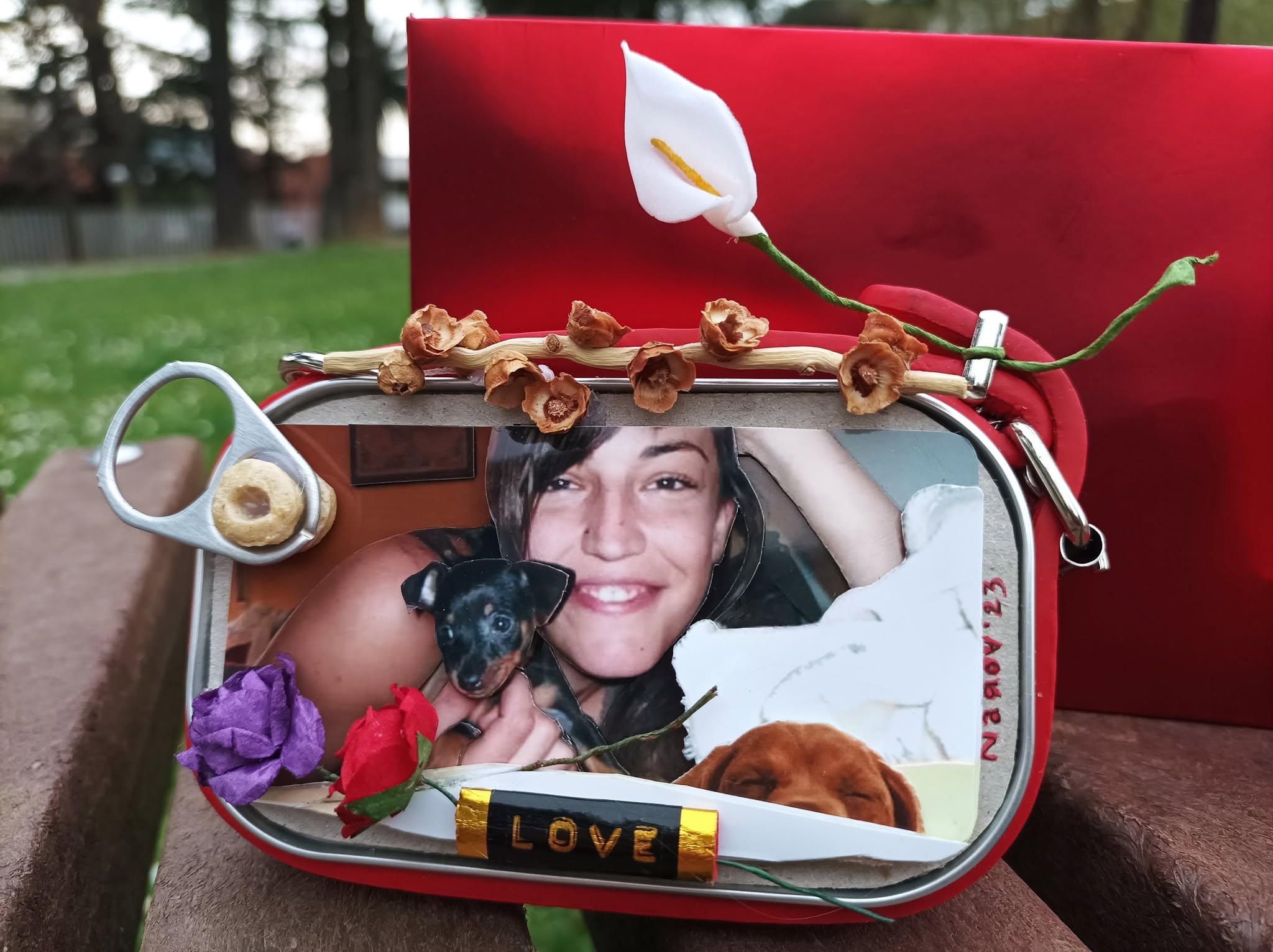 Amor en Conserva — Conjunto completo